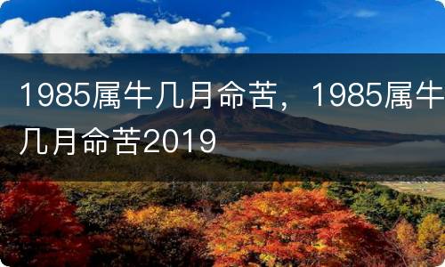 1985属牛几月命苦，1985属牛几月命苦2019