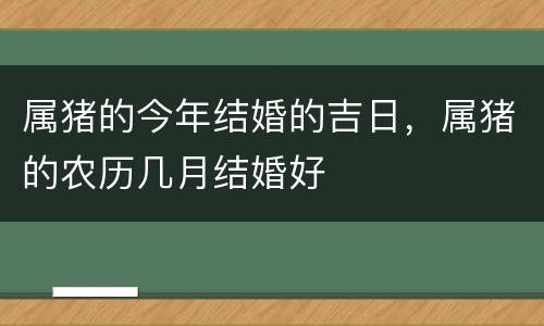属猪的今年结婚的吉日，属猪的农历几月结婚好