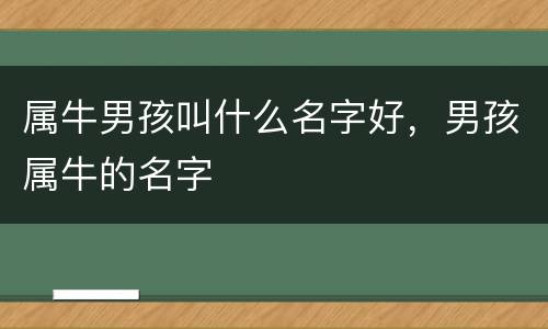 属牛男孩叫什么名字好，男孩属牛的名字