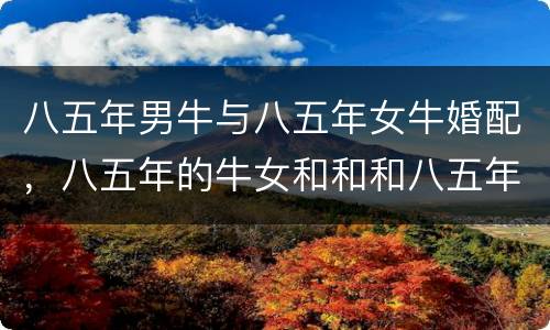 八五年男牛与八五年女牛婚配，八五年的牛女和和和八五年的牛男相配吗