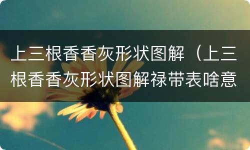上三根香香灰形状图解（上三根香香灰形状图解禄带表啥意思）