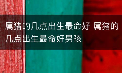 属猪的几点出生最命好 属猪的几点出生最命好男孩
