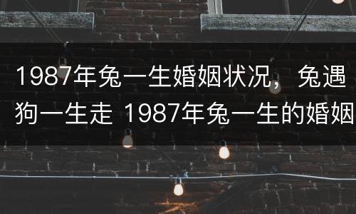 1987年兔一生婚姻状况，兔遇狗一生走 1987年兔一生的婚姻运