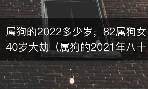 属狗的2022多少岁，82属狗女40岁大劫（属狗的2021年八十几岁）