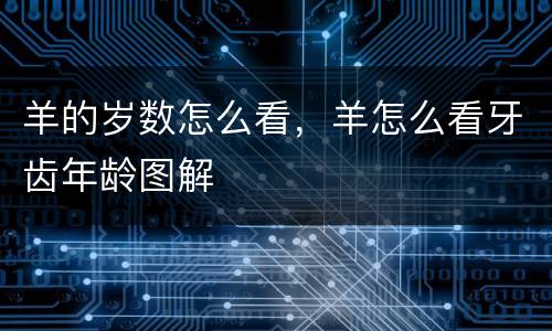 羊的岁数怎么看，羊怎么看牙齿年龄图解