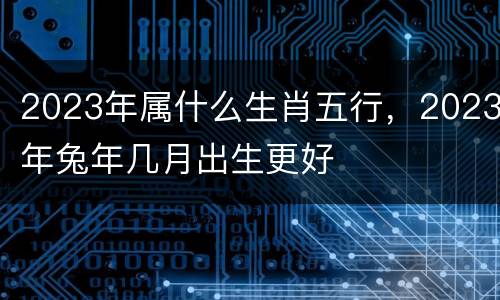 2023年属什么生肖五行，2023年兔年几月出生更好