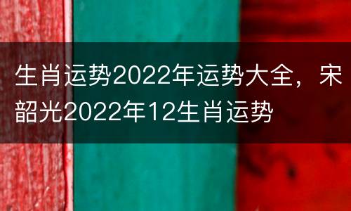 生肖运势2022年运势大全，宋韶光2022年12生肖运势