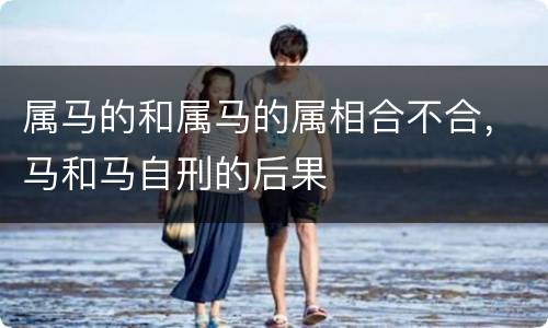 属马的和属马的属相合不合，马和马自刑的后果