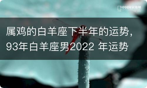 属鸡的白羊座下半年的运势，93年白羊座男2022 年运势