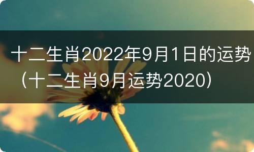 十二生肖2022年9月1日的运势（十二生肖9月运势2020）