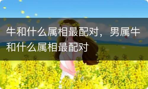 牛和什么属相最配对，男属牛和什么属相最配对