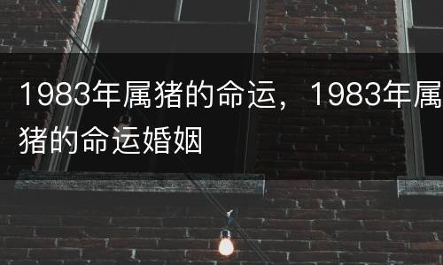 1983年属猪的命运，1983年属猪的命运婚姻