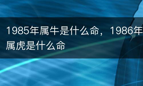 1985年属牛是什么命，1986年属虎是什么命