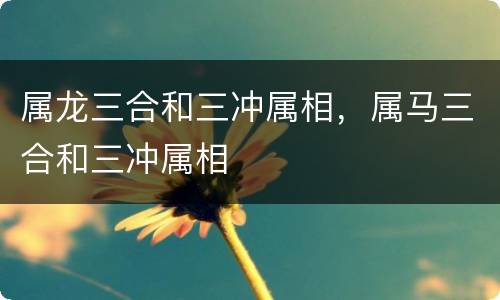 属龙三合和三冲属相，属马三合和三冲属相