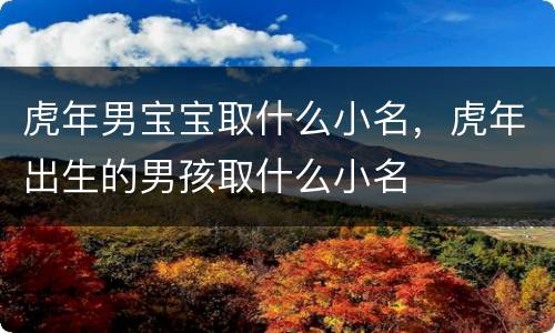 虎年男宝宝取什么小名，虎年出生的男孩取什么小名