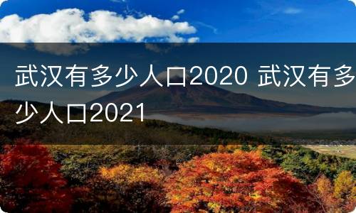 武汉有多少人口2020 武汉有多少人口2021