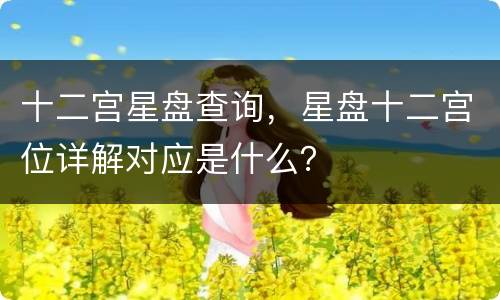 十二宫星盘查询，星盘十二宫位详解对应是什么？