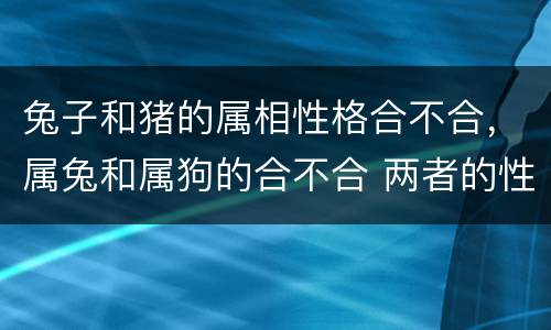 兔子和猪的属相性格合不合，属兔和属狗的合不合 两者的性格分析
