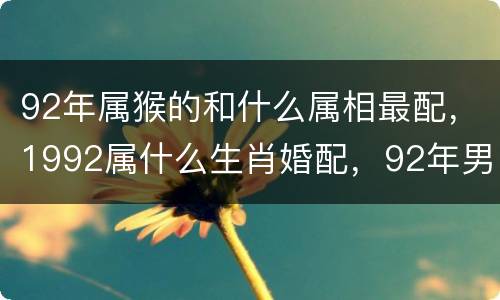92年属猴的和什么属相最配，1992属什么生肖婚配，92年男