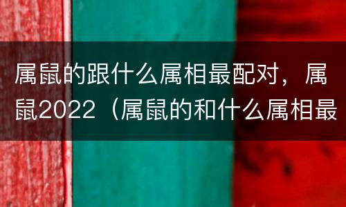 属鼠的跟什么属相最配对，属鼠2022（属鼠的和什么属相最配婚）
