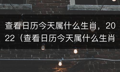 查看日历今天属什么生肖，2022（查看日历今天属什么生肖）