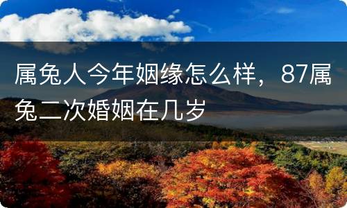 属兔人今年姻缘怎么样，87属兔二次婚姻在几岁