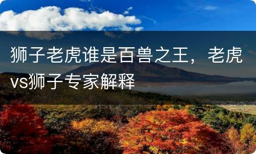 狮子老虎谁是百兽之王，老虎vs狮子专家解释