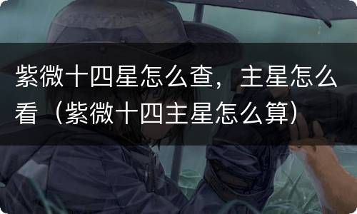 紫微十四星怎么查，主星怎么看（紫微十四主星怎么算）