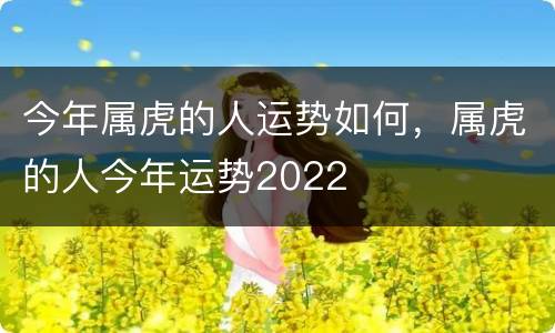 今年属虎的人运势如何，属虎的人今年运势2022