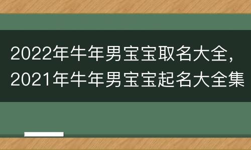 2022年牛年男宝宝取名大全，2021年牛年男宝宝起名大全集