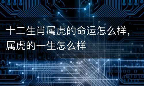 十二生肖属虎的命运怎么样，属虎的一生怎么样