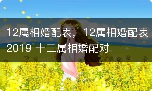 12属相婚配表，12属相婚配表2019 十二属相婚配对