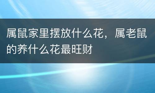 属鼠家里摆放什么花，属老鼠的养什么花最旺财