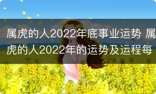 属虎的人2022年底事业运势 属虎的人2022年的运势及运程每月