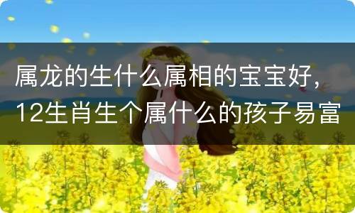 属龙的生什么属相的宝宝好，12生肖生个属什么的孩子易富贵？