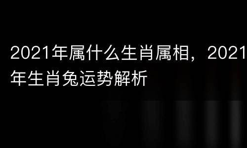 2021年属什么生肖属相，2021年生肖兔运势解析
