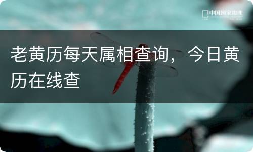 老黄历每天属相查询，今日黄历在线查