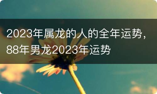 2023年属龙的人的全年运势，88年男龙2023年运势