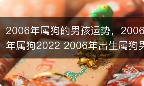 2006年属狗的男孩运势，2006年属狗2022 2006年出生属狗男一生命运