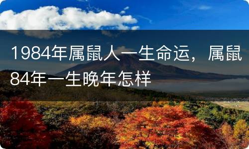 1984年属鼠人一生命运，属鼠84年一生晚年怎样