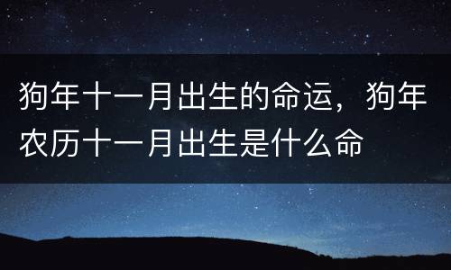 狗年十一月出生的命运，狗年农历十一月出生是什么命