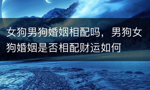 女狗男狗婚姻相配吗，男狗女狗婚姻是否相配财运如何