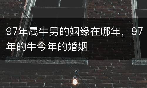 97年属牛男的姻缘在哪年，97年的牛今年的婚姻