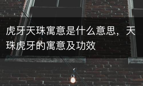 虎牙天珠寓意是什么意思，天珠虎牙的寓意及功效