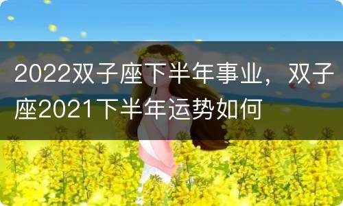 2022双子座下半年事业，双子座2021下半年运势如何