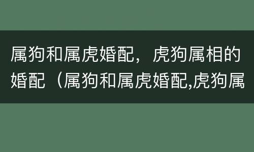 属狗和属虎婚配，虎狗属相的婚配（属狗和属虎婚配,虎狗属相的婚配好吗）