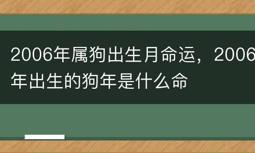 2006年属狗出生月命运，2006年出生的狗年是什么命