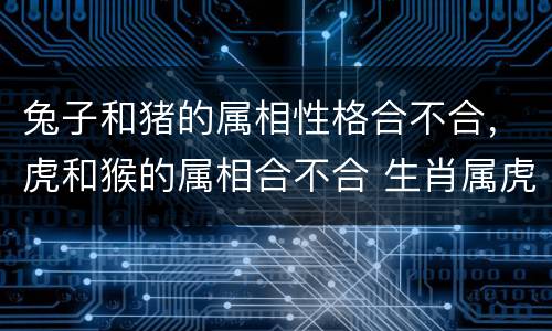 兔子和猪的属相性格合不合，虎和猴的属相合不合 生肖属虎和属猴