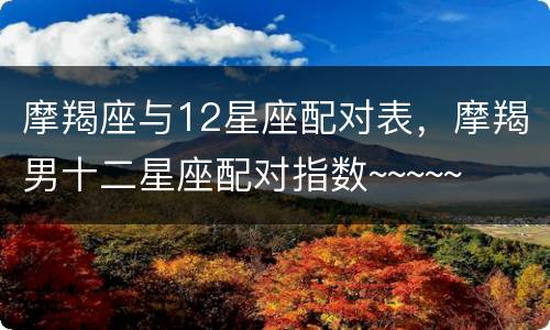 摩羯座与12星座配对表，摩羯男十二星座配对指数~~~~~