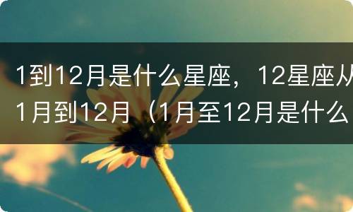 1到12月是什么星座，12星座从1月到12月（1月至12月是什么星座）